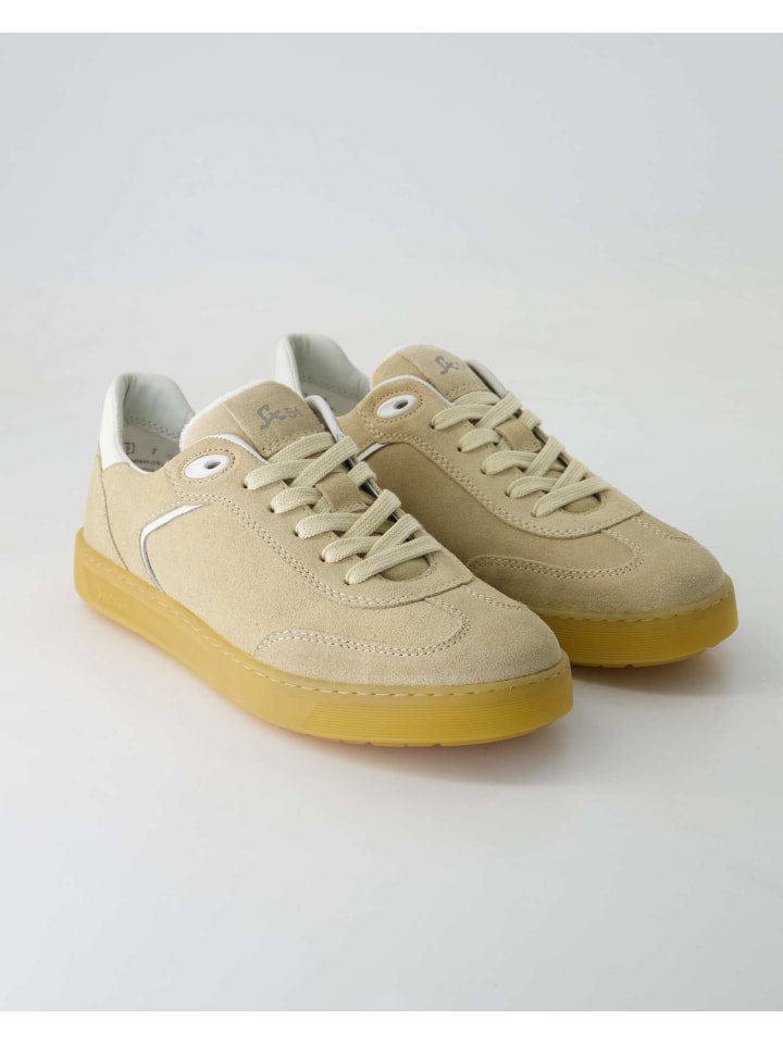 Кроссовки на шнуровке Sioux, бежевый
Кроссовки на шнуровке Sioux, бежевый