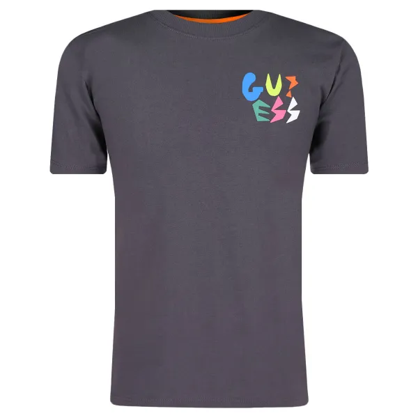 Футболка стандартного кроя Guess, черный
Футболка стандартного кроя Guess, черный