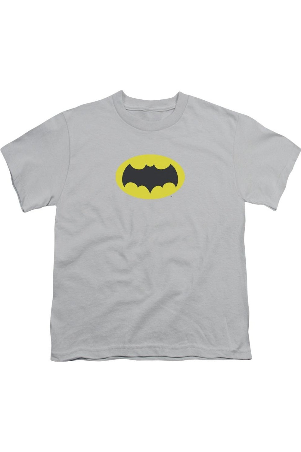 Футболка с логотипом Batman Classic TV для детей Gildan, серебряный
Футболка с логотипом Batman Classic TV для детей Gildan, серебряный