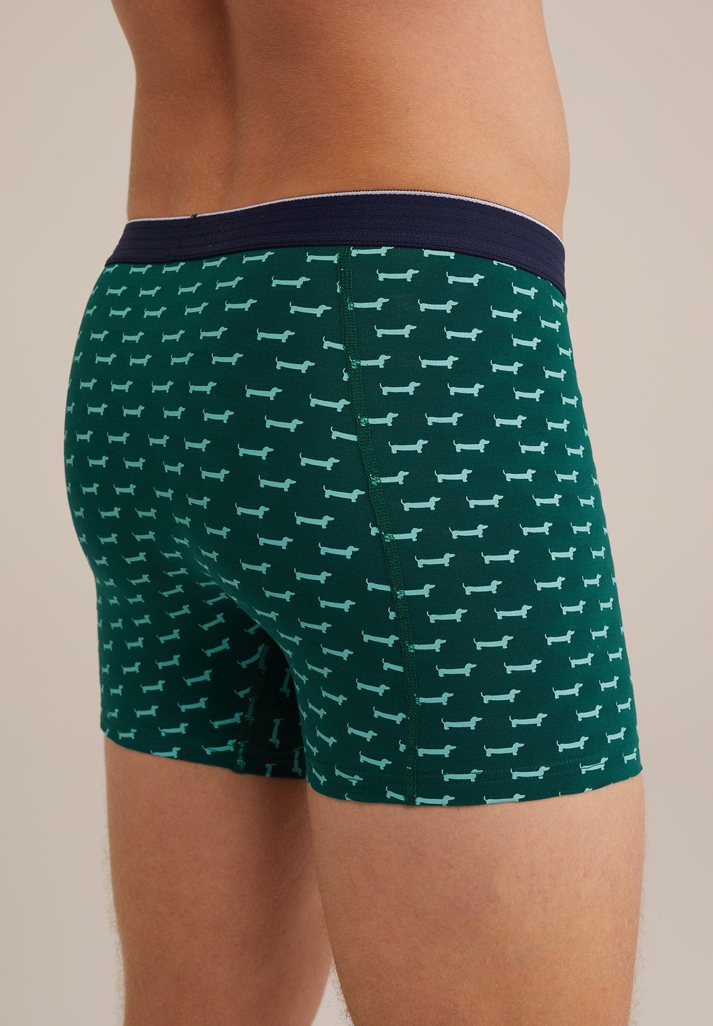 Трусы WE Fashion, зеленый
Трусы WE Fashion, зеленый