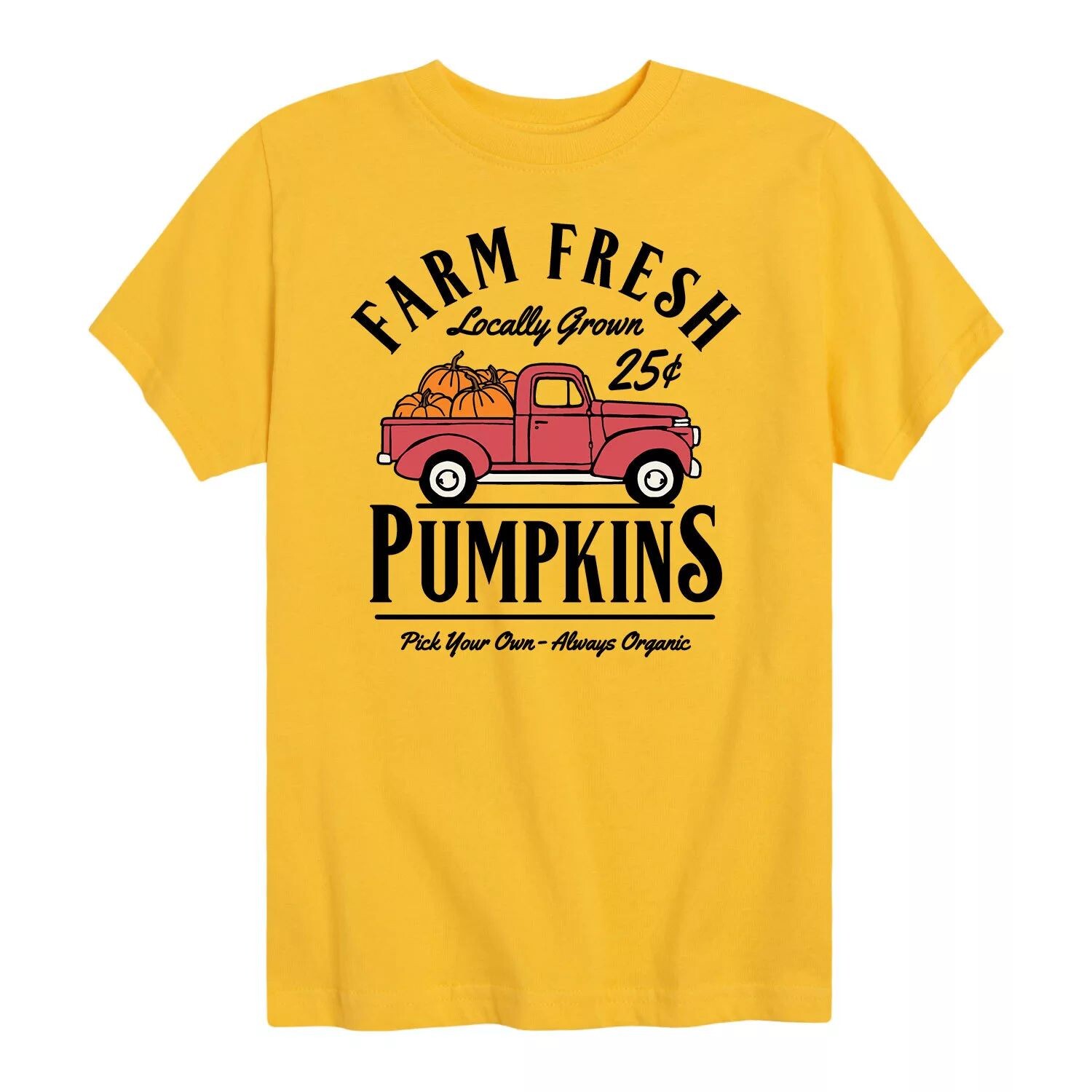 Футболка с рисунком «Свежие тыквы» для мальчиков 8–20 лет Licensed Character
Футболка с рисунком «Свежие тыквы» для мальчиков 8–20 лет Licensed Character