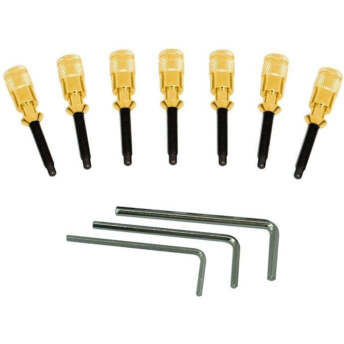 Аутентичная интонационная система Floyd Rose Hollow Point — 7 струн — золото Hollow Point Intonation System - 7-String -
Аутентичная интонационная система Floyd Rose Hollow Point — 7 струн — золото Hollow Point Intonation System - 7-String -