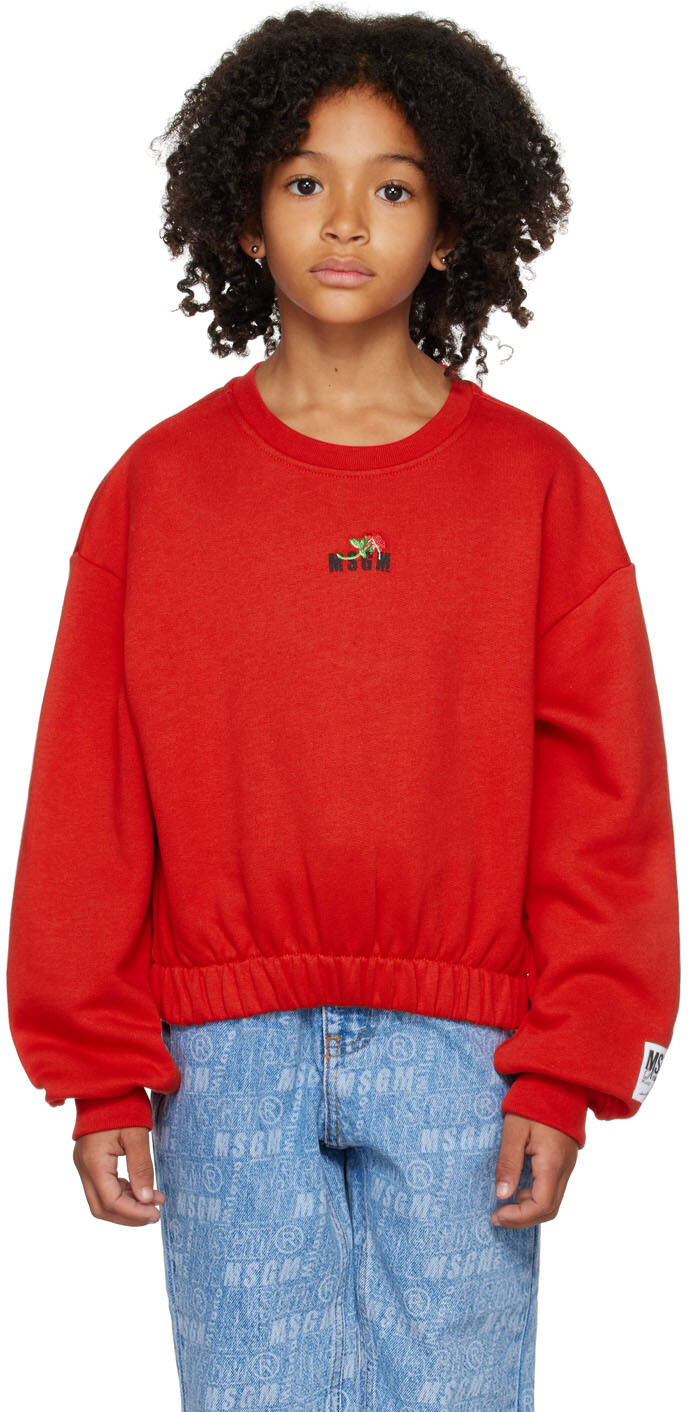 Детская красная толстовка с вышивкой MSGM Kids, Красный, Детская красная толстовка с вышивкой MSGM Kids
Детская красная толстовка с вышивкой MSGM Kids, Красный, Детская красная толстовка с вышивкой MSGM Kids