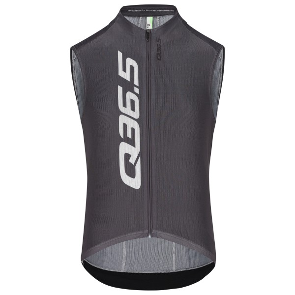 Фирменный трикотаж без рукавов Gregarius - радужная майка Q36.5, серый
Фирменный трикотаж без рукавов Gregarius - радужная майка Q36.5, серый