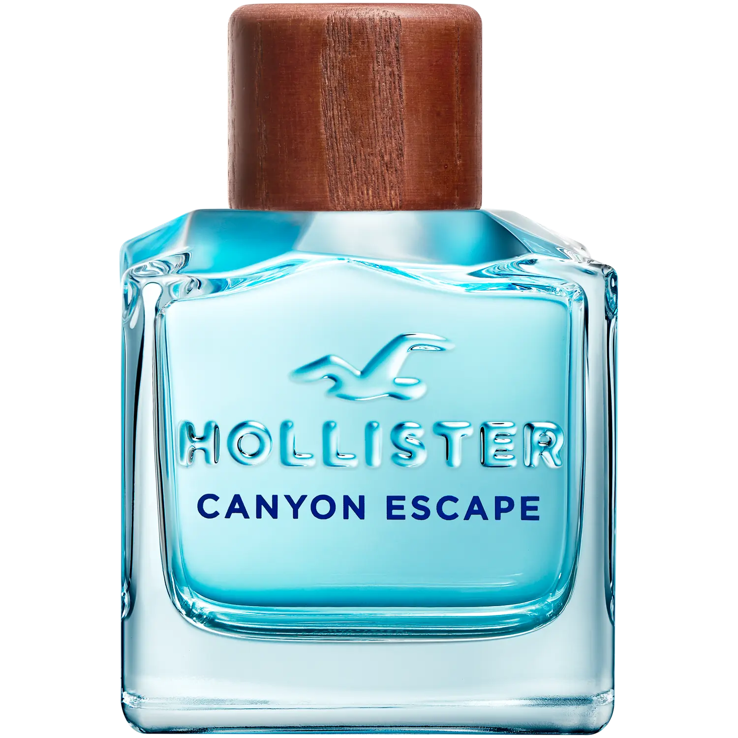 Hollister Canyon Escap For Him туалетная вода для мужчин, 100 мл
Hollister Canyon Escap For Him туалетная вода для мужчин, 100 мл