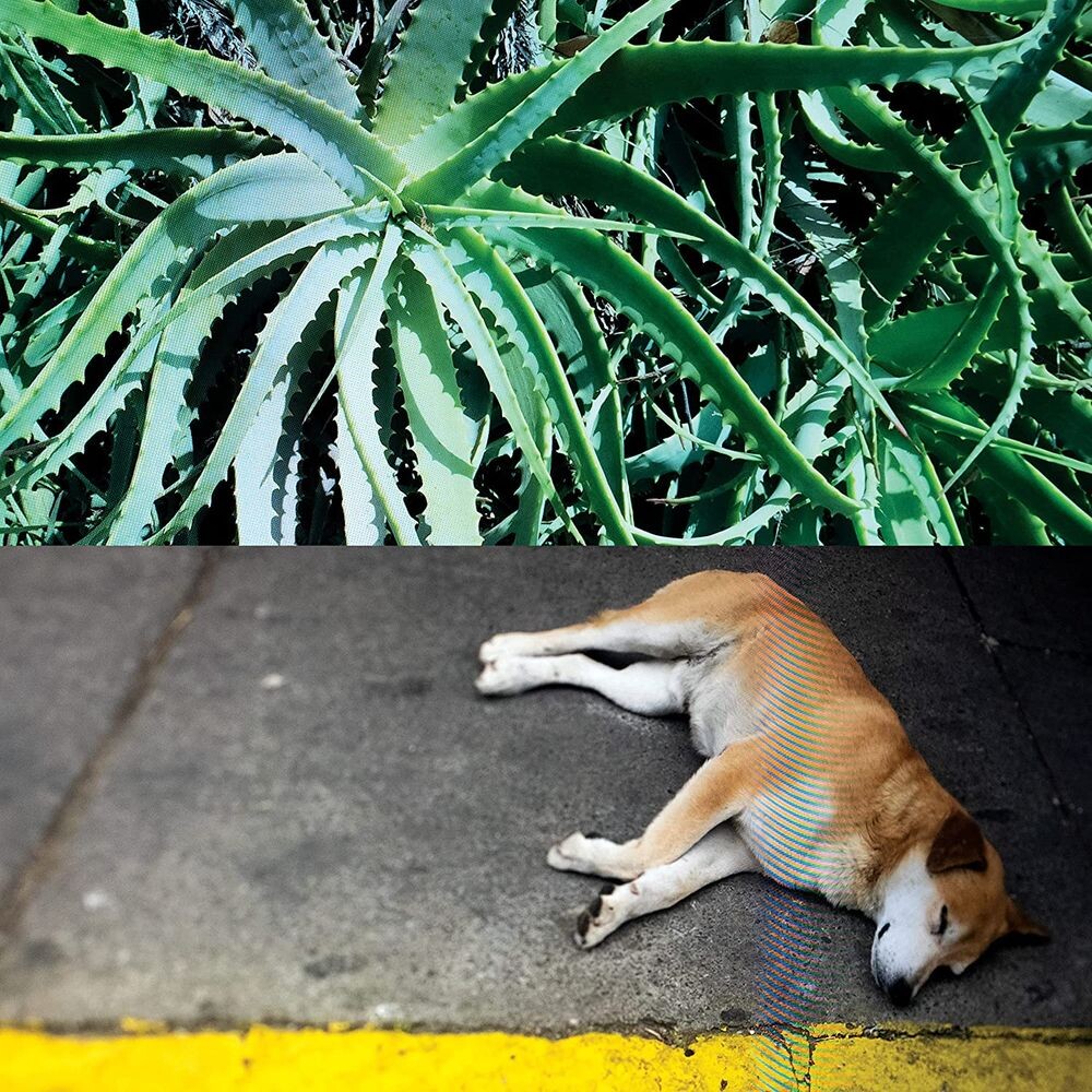 Виниловая пластинка LP All The Things That Happen - Steve Bates
Виниловая пластинка LP All The Things That Happen - Steve Bates