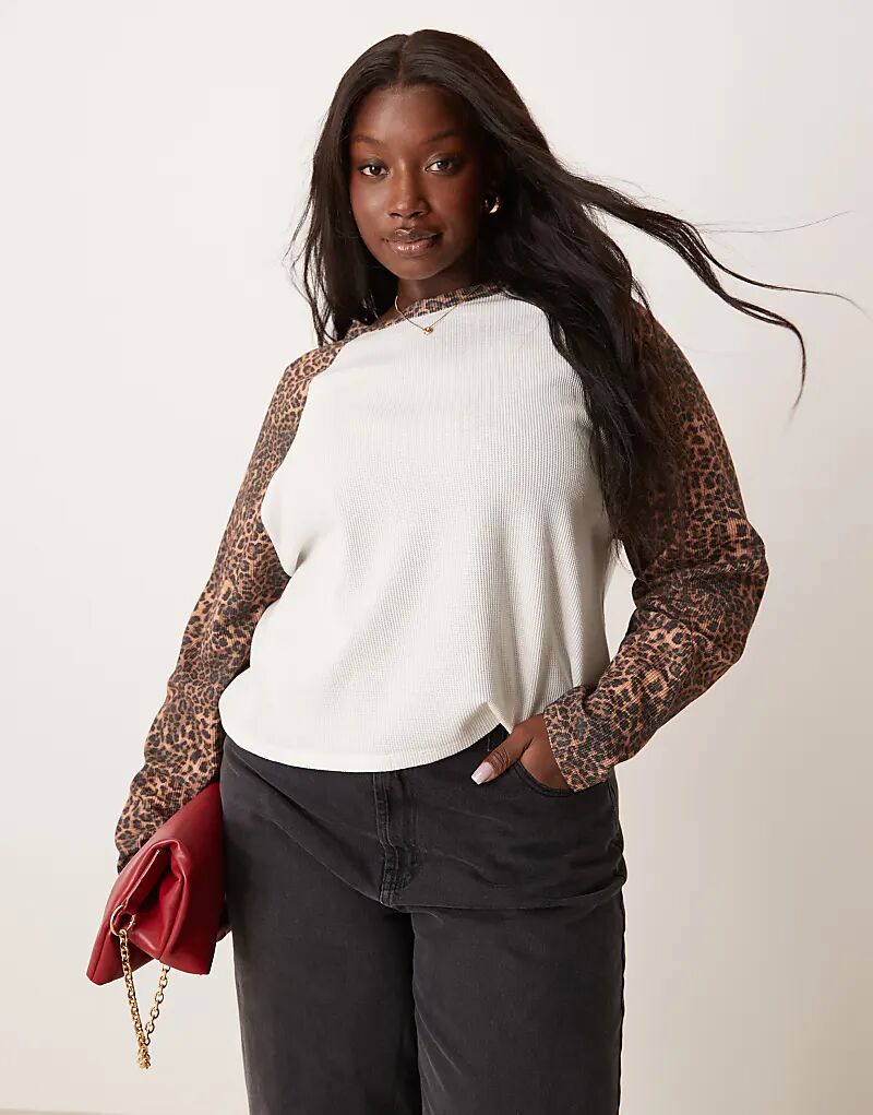 Футболка ASOS DESIGN Curve с длинными рукавами реглан из вафельной ткани с леопардовым принтом Asos Curve
Футболка ASOS DESIGN Curve с длинными рукавами реглан из вафельной ткани с леопардовым принтом Asos Curve