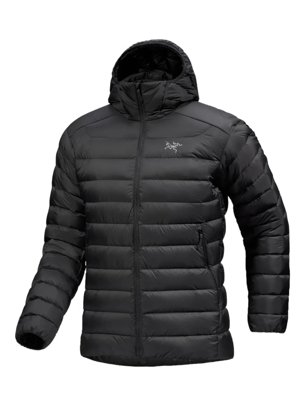 Пуховик с капюшоном Cerium Arc'teryx, черный
Пуховик с капюшоном Cerium Arc'teryx, черный