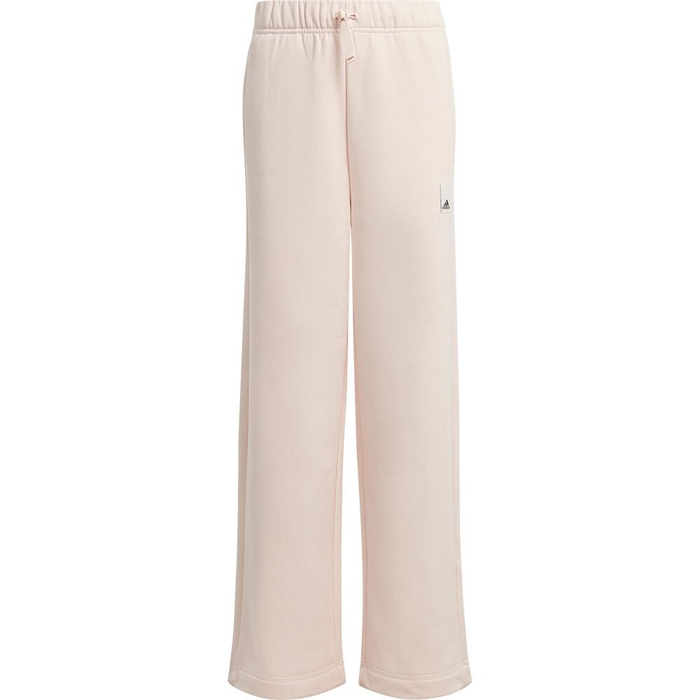 Брюки adidas Sportswear L, розовый
Брюки adidas Sportswear L, розовый