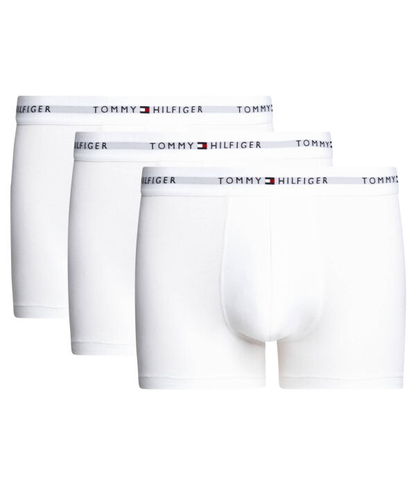 Трусы 3 шт. Tommy Hilfiger, белый
Трусы 3 шт. Tommy Hilfiger, белый