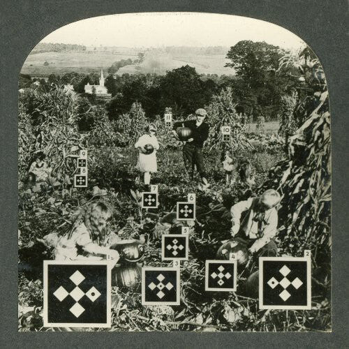 Виниловая пластинка Gallons, Nesey: Eyes and Eyes and Eyes Ago
Виниловая пластинка Gallons, Nesey: Eyes and Eyes and Eyes Ago