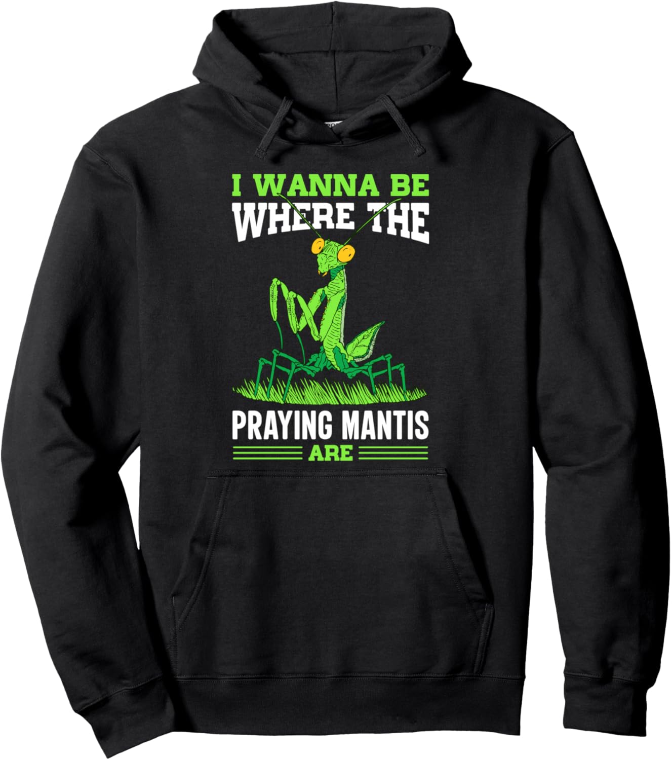 Энтомолог, любитель насекомых, толстовка с капюшоном Praying Mantis Shirt, черный
Энтомолог, любитель насекомых, толстовка с капюшоном Praying Mantis Shirt, черный