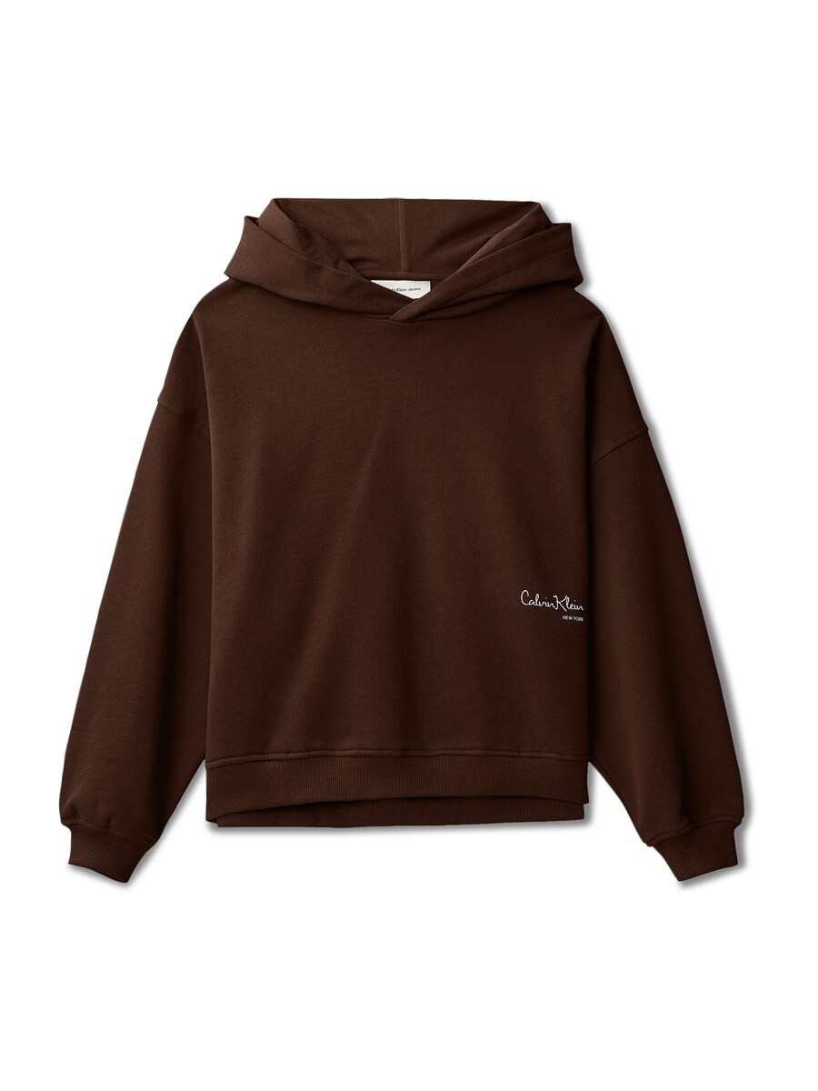 Толстовка Calvin Klein Jeans, коричневый
Толстовка Calvin Klein Jeans, коричневый