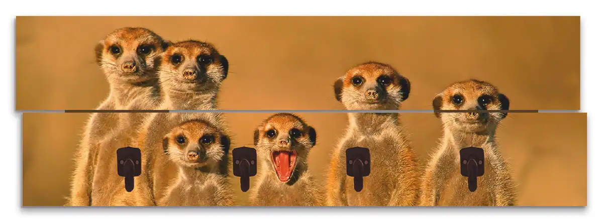 Вешалка Artland "Meerkat Family", в частично собранном виде 90х30х2,8 см, коричневый
Вешалка Artland "Meerkat Family", в частично собранном виде 90х30х2,8 см, коричневый