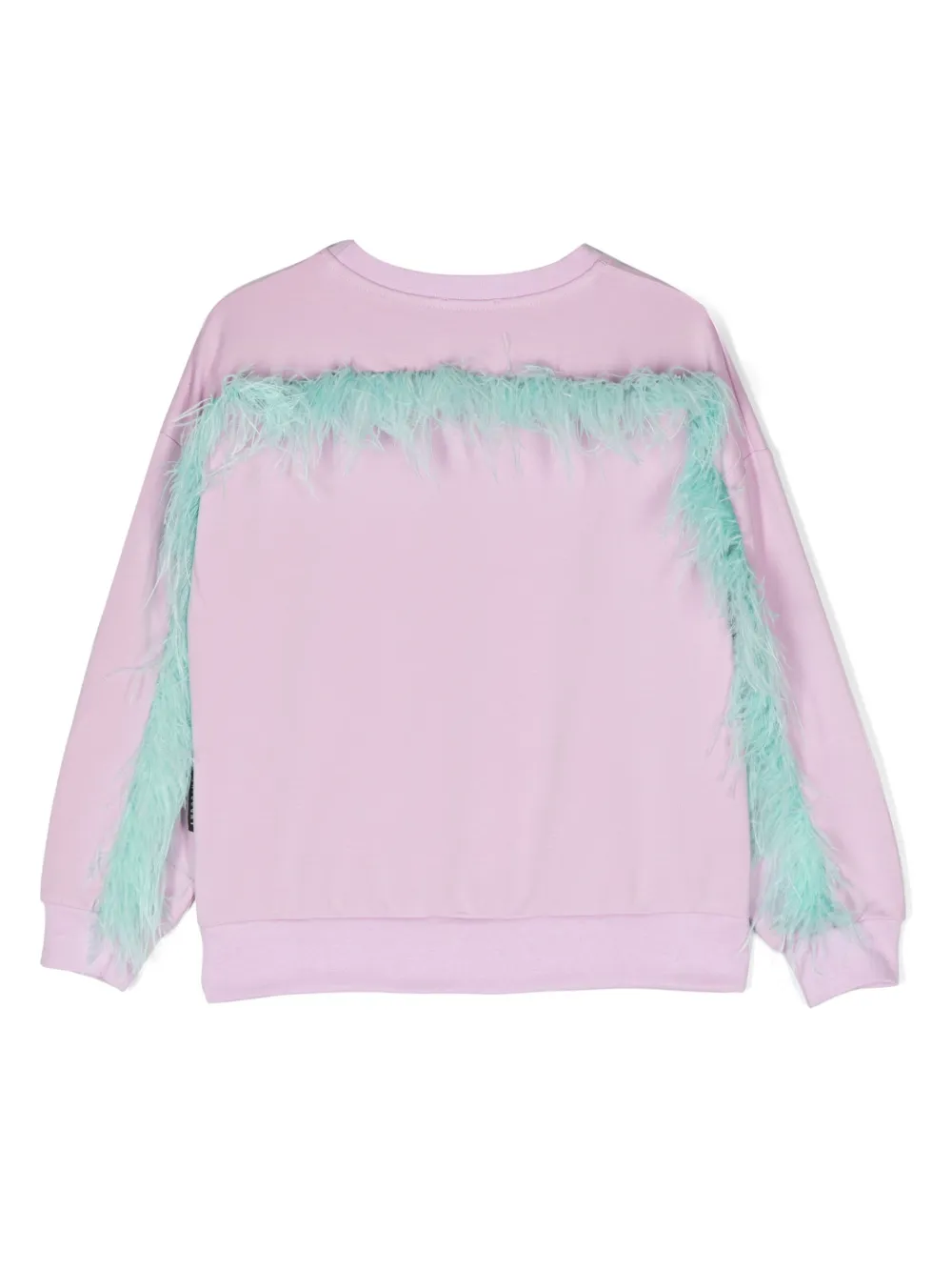 Толстовка из органического хлопка с перьями Andorine, фиолетовый
Толстовка из органического хлопка с перьями Andorine, фиолетовый