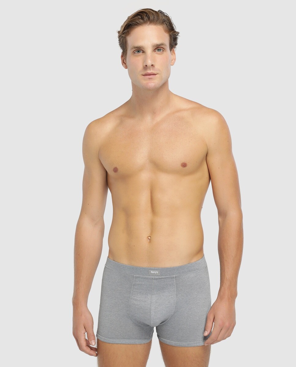 Серые мужские трикотажные боксеры Ferry's Ferrys, серый
Серые мужские трикотажные боксеры Ferry's Ferrys, серый