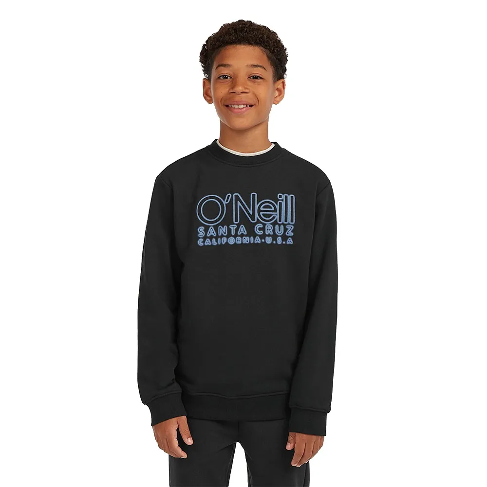 Толстовка O´neill Essentials, черный
Толстовка O´neill Essentials, черный