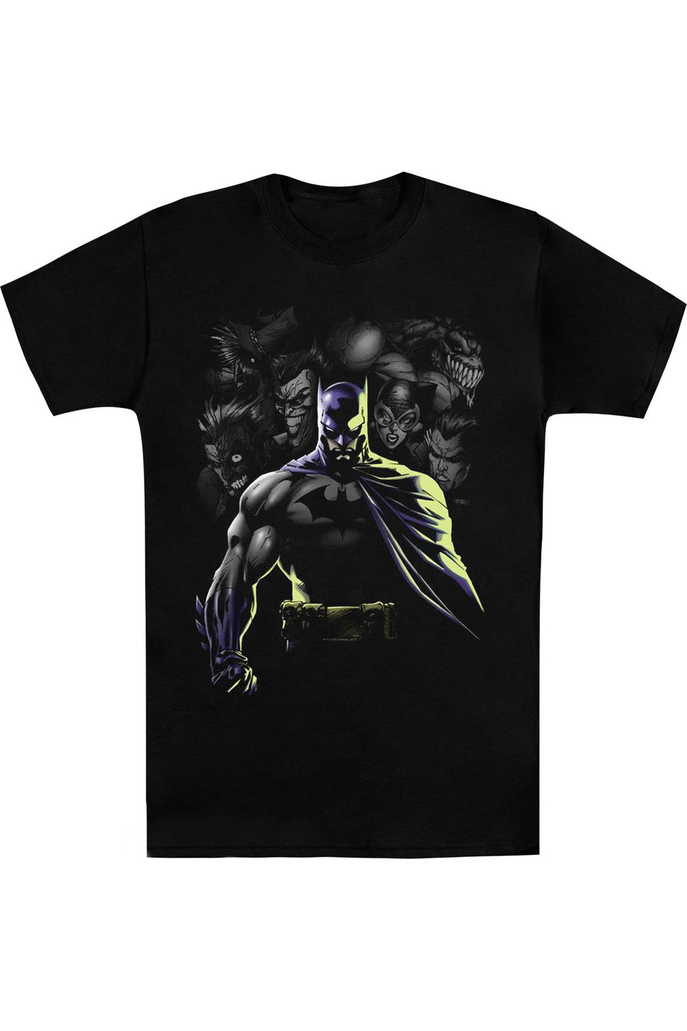 Футболка с коротким рукавом для взрослых Batman Villains Unleashed Gildan, черный
Футболка с коротким рукавом для взрослых Batman Villains Unleashed Gildan, черный