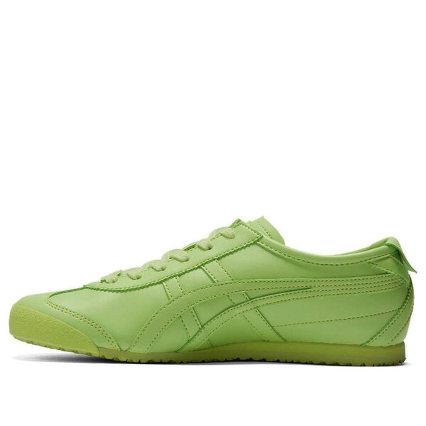 Кроссовки mexico 66 cactful Onitsuka Tiger, зеленый
Кроссовки mexico 66 cactful Onitsuka Tiger, зеленый