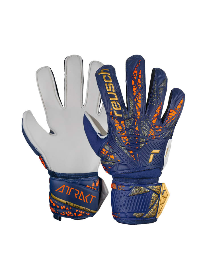 Перчатки Reusch, цвет 4410 premium blue/gold, Голубой, Перчатки Reusch, цвет 4410 premium blue/gold
Перчатки Reusch, цвет 4410 premium blue/gold, Голубой, Перчатки Reusch, цвет 4410 premium blue/gold