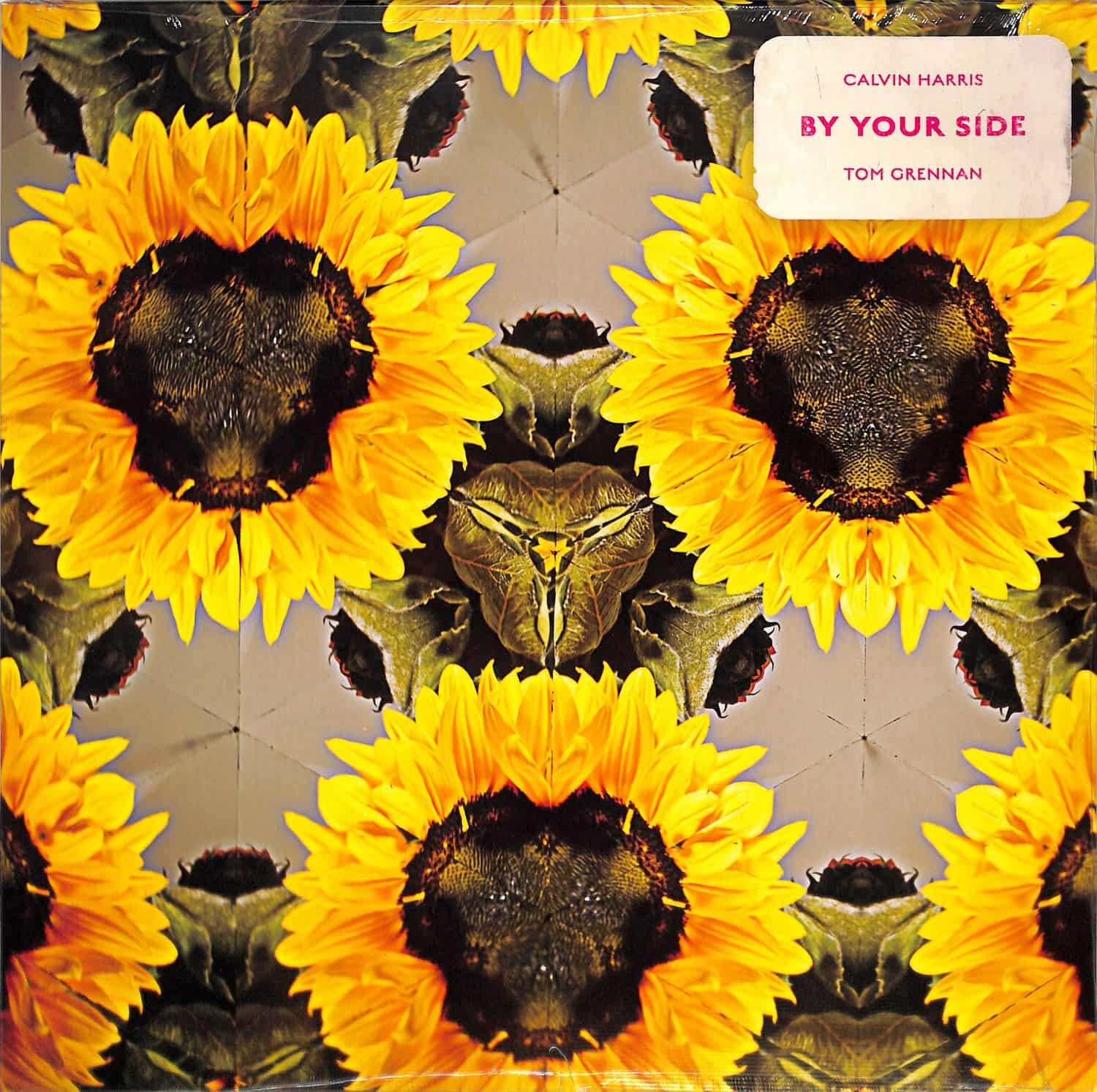 Виниловая пластинка Calvin Harris & Tom Grennan - By Your Side (12" Picture Disc) 
Виниловая пластинка Calvin Harris & Tom Grennan - By Your Side (12" Picture Disc)