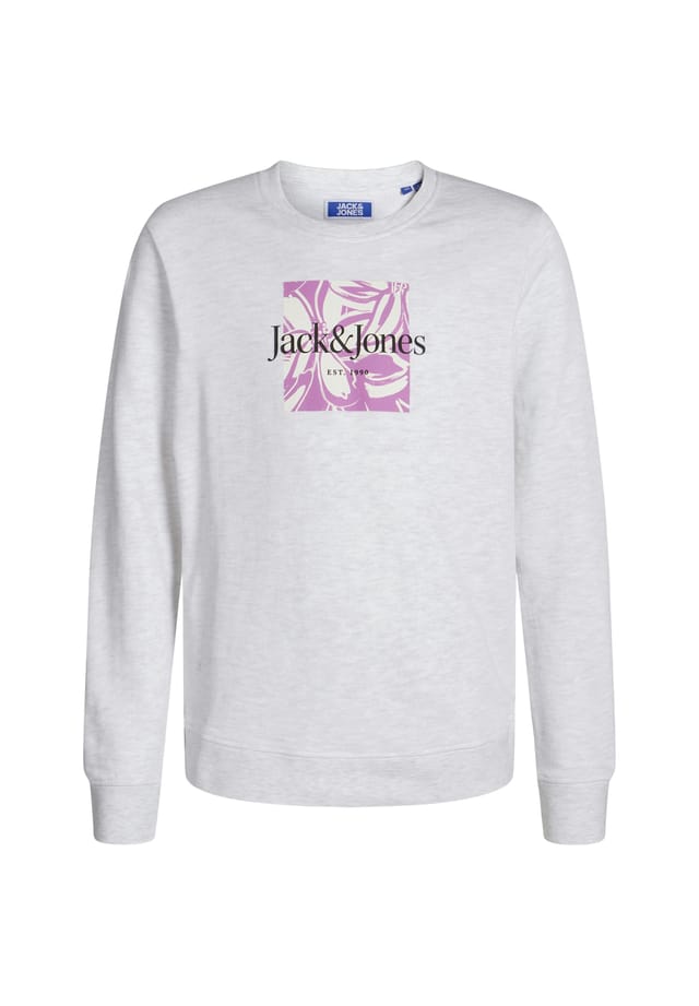 Толстовка пуловер Лафайет без капюшона Jack & Jones, белый
Толстовка пуловер Лафайет без капюшона Jack & Jones, белый