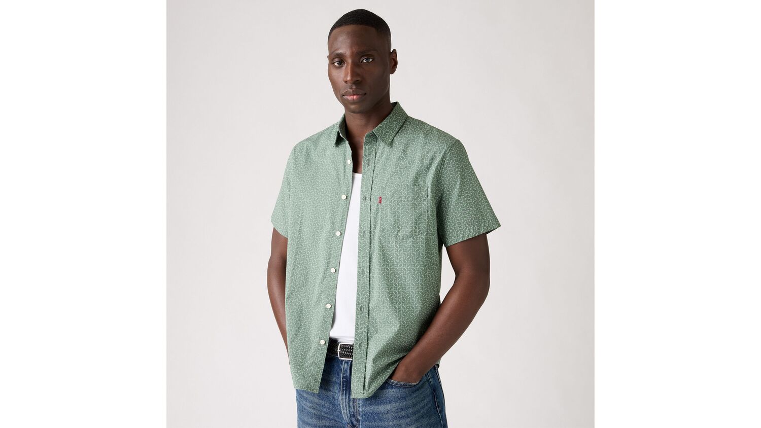 Рубашка классического стандартного кроя с коротким рукавом Levi's, Rip Geo Laurel Wreath - Green
Рубашка классического стандартного кроя с коротким рукавом Levi's, Rip Geo Laurel Wreath - Green