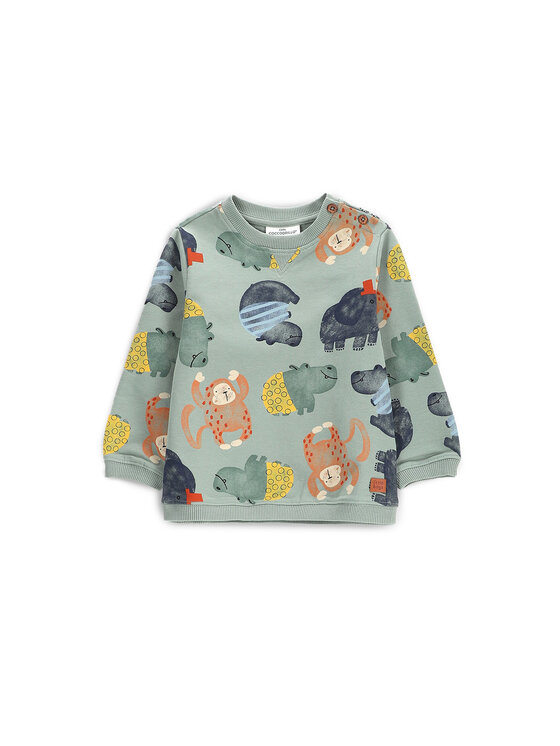 Толстовка обычного кроя WC5132101SBN Coccodrillo, зеленый
Толстовка обычного кроя WC5132101SBN Coccodrillo, зеленый