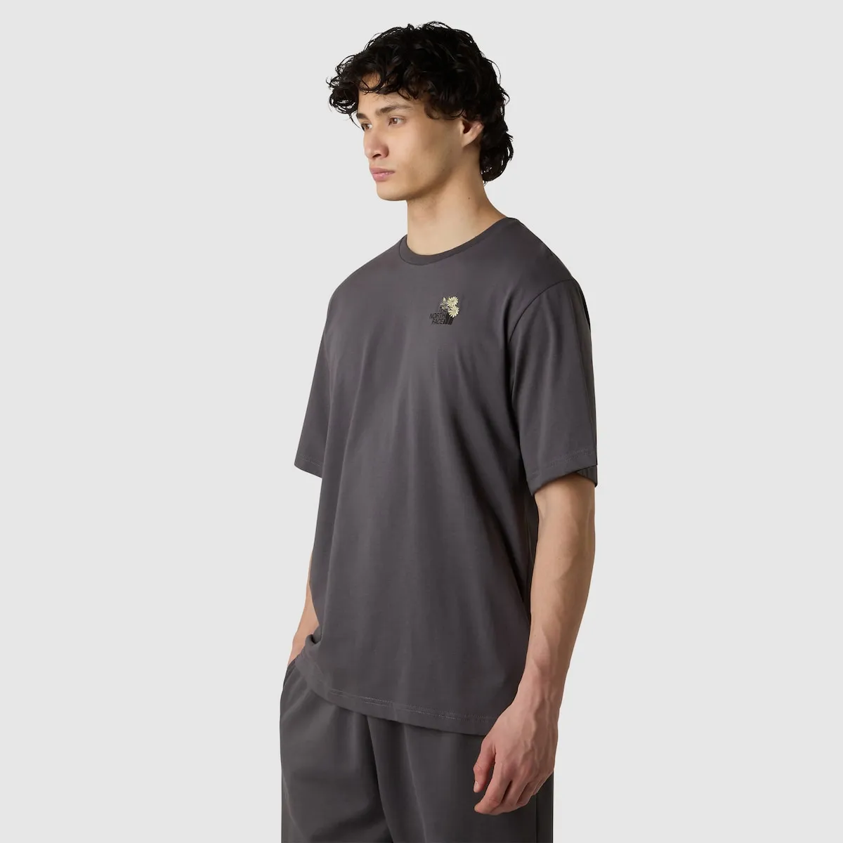 Мужская куртка Dome Футболка The North Face, серый
Мужская куртка Dome Футболка The North Face, серый