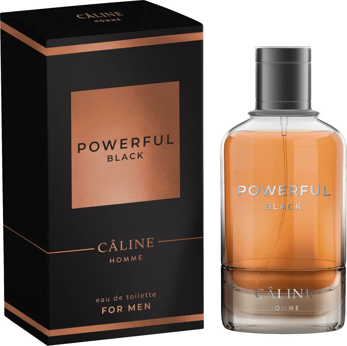 Туалетная вода HOMME Powerful Black 60 мл CÂLINE
Туалетная вода HOMME Powerful Black 60 мл CÂLINE
