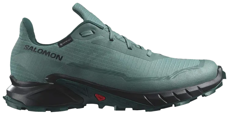Кроссовки Salomon Alphacross 5 GORE-TEX, зеленый
Кроссовки Salomon Alphacross 5 GORE-TEX, зеленый