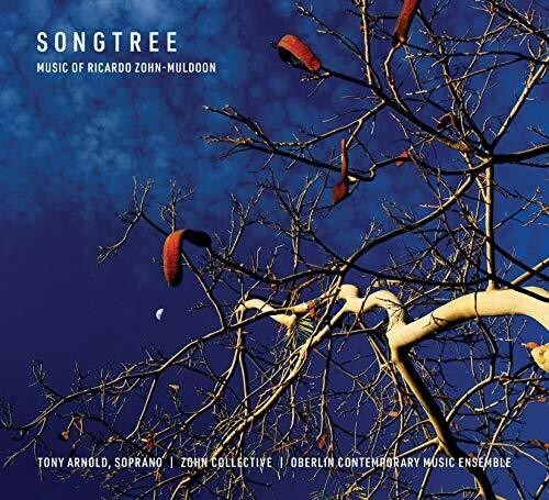 CD диск Muldoon / Brown: Songtree
CD диск Muldoon / Brown: Songtree
