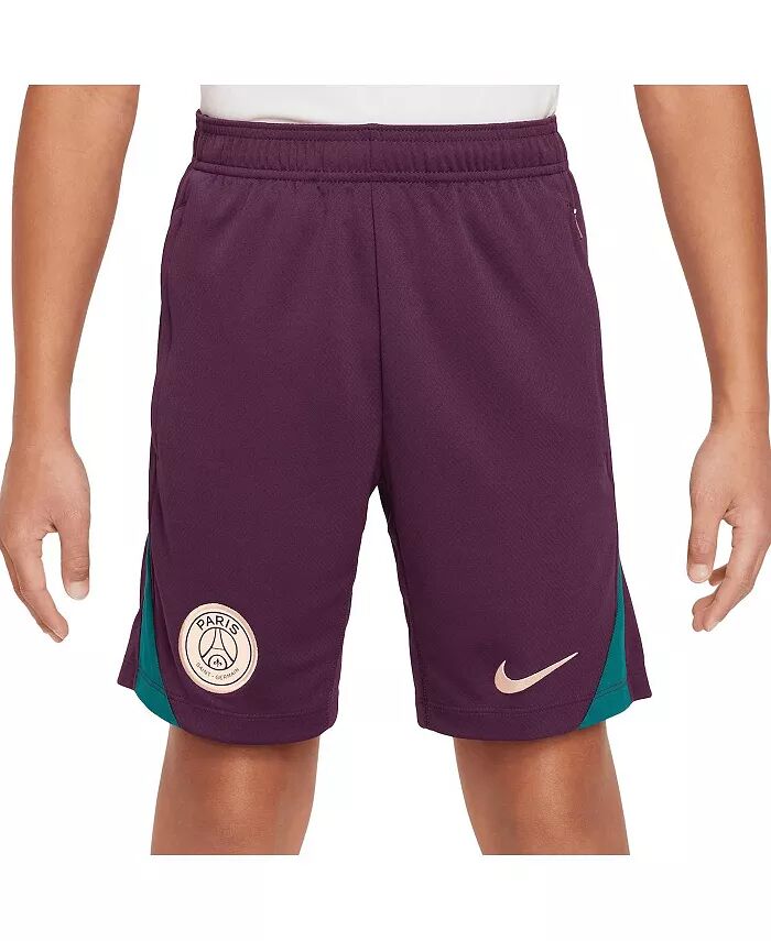 Большие мальчики и девочки бордовые шорты Paris Saint-Germain 2024/25 Strike Performance Nike
Большие мальчики и девочки бордовые шорты Paris Saint-Germain 2024/25 Strike Performance Nike