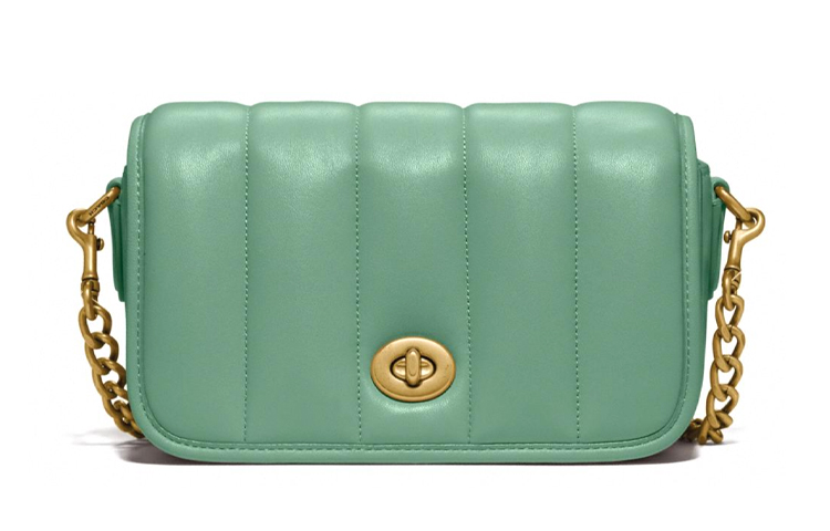 COACH Сумка кросс-боди Dinky Lambskin Leather малая женская макарун Green
COACH Сумка кросс-боди Dinky Lambskin Leather малая женская макарун Green