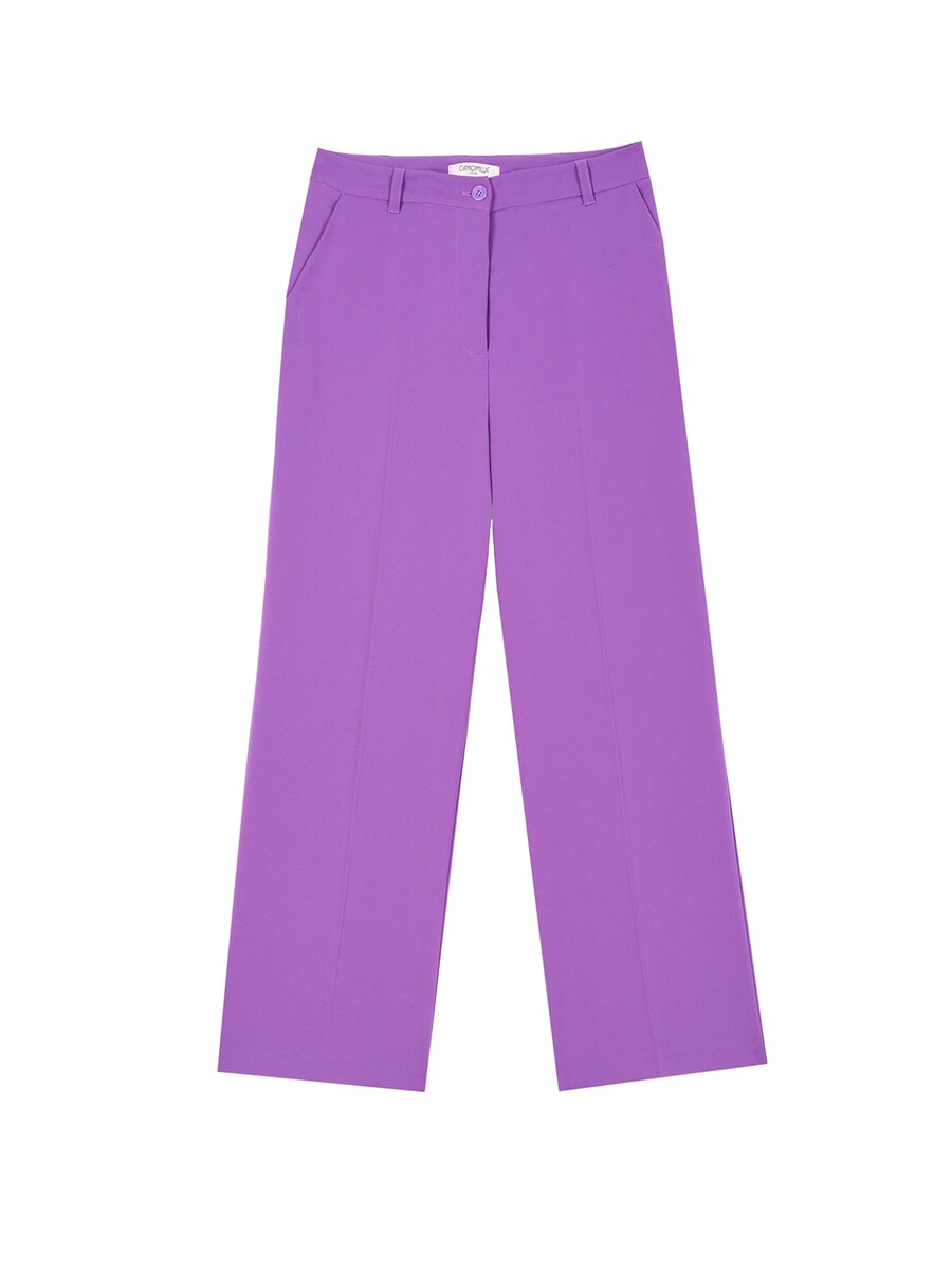 Обычные брюки Camomilla Italia, фиолетовый
Обычные брюки Camomilla Italia, фиолетовый