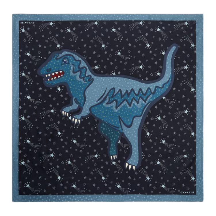 COACH Шёлковый шарф унисекс чёрный с океанской синевой, Black/Ocean Blue
COACH Шёлковый шарф унисекс чёрный с океанской синевой, Black/Ocean Blue