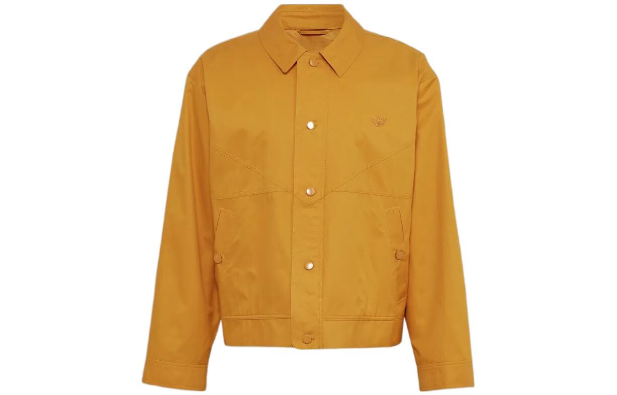 Коллекция Blue Version, мужская куртка, желтая Adidas Originals, желтый
Коллекция Blue Version, мужская куртка, желтая Adidas Originals, желтый