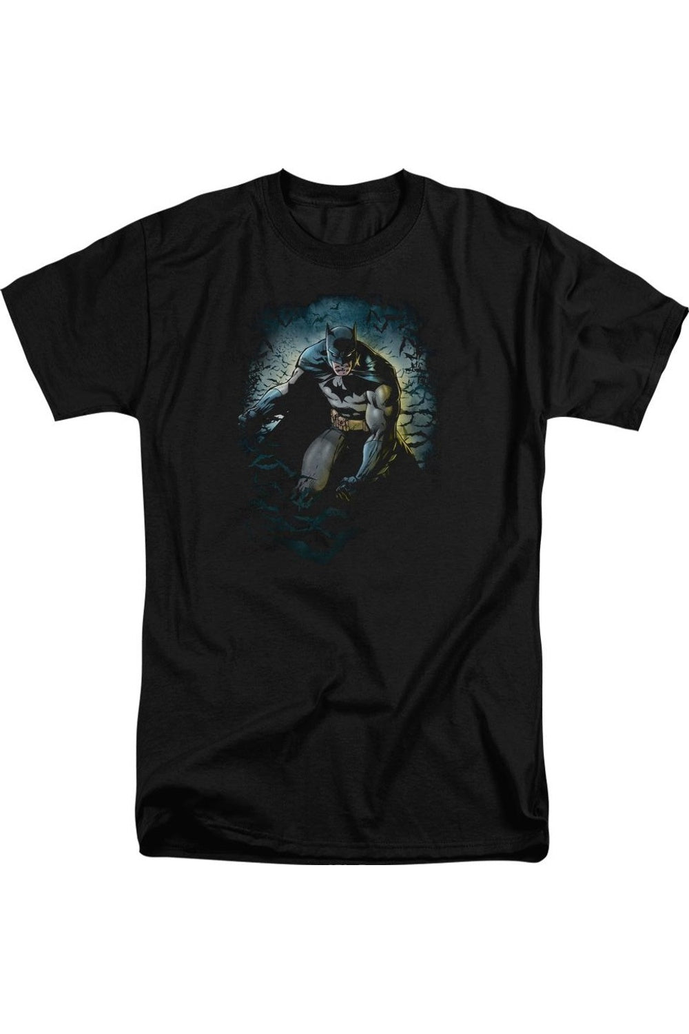 Футболка Batman Bat Cave с коротким рукавом для взрослых Gildan, черный
Футболка Batman Bat Cave с коротким рукавом для взрослых Gildan, черный