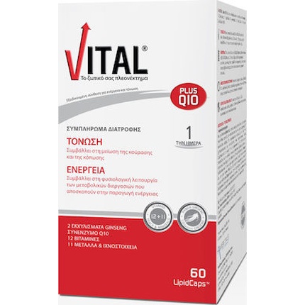 Plus Q10 Пищевая добавка для повышения энергии с коэнзимом Q10 - 60 капсул Vital
Plus Q10 Пищевая добавка для повышения энергии с коэнзимом Q10 - 60 капсул Vital