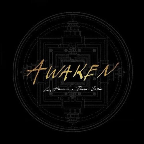 Виниловая пластинка Harris, Lee / Bozic, Davor: Awaken - Gold
Виниловая пластинка Harris, Lee / Bozic, Davor: Awaken - Gold