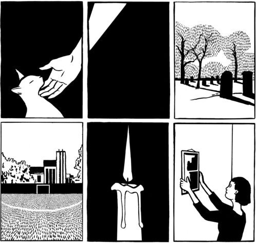 Виниловая пластинка Paws - No Grace
Виниловая пластинка Paws - No Grace