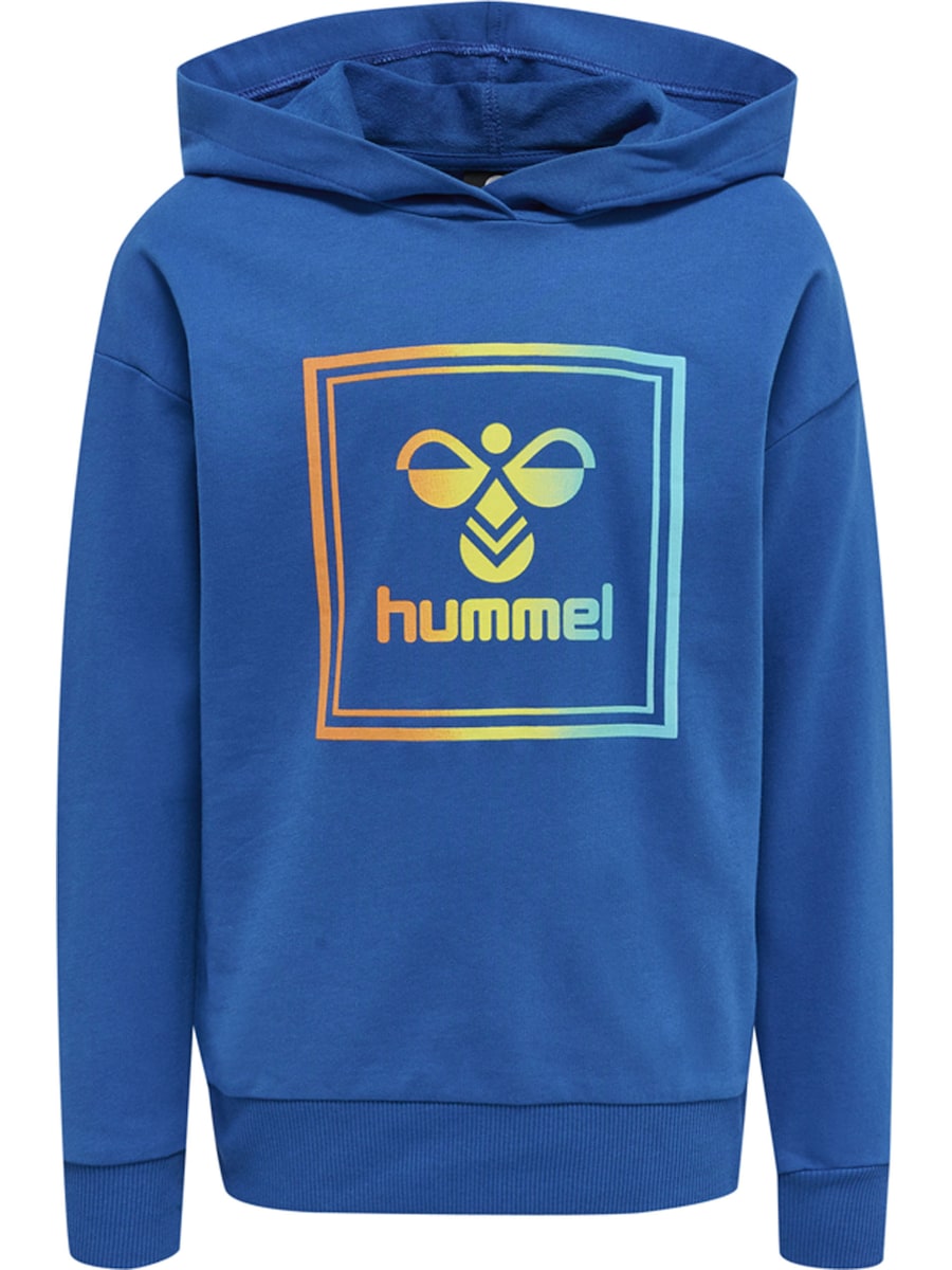 Толстовка Hummel Leiden, синий/голубой
Толстовка Hummel Leiden, синий/голубой