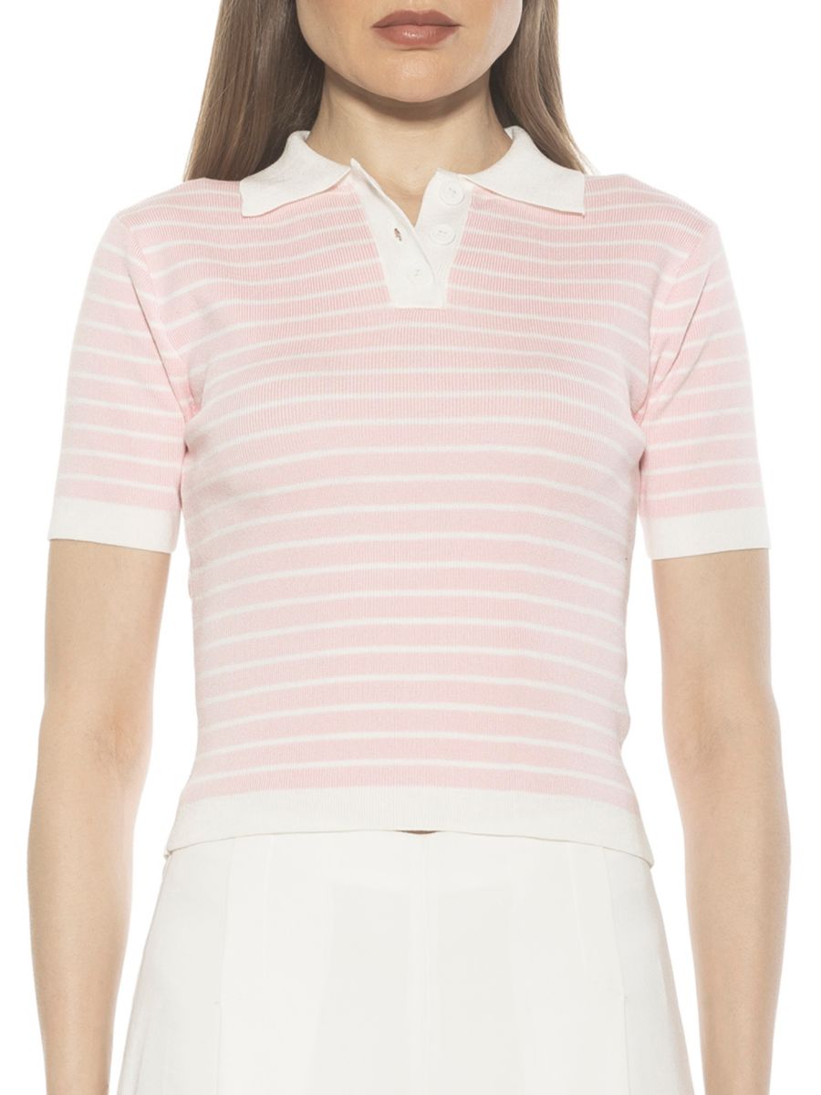 Полосатая трикотажная рубашка-поло Elani Alexia Admor, розовый
Полосатая трикотажная рубашка-поло Elani Alexia Admor, розовый