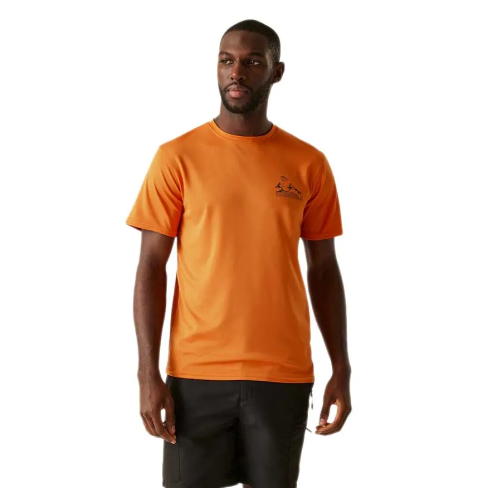 Футболка с коротким рукавом Regatta Fingal IX, оранжевый
Футболка с коротким рукавом Regatta Fingal IX, оранжевый