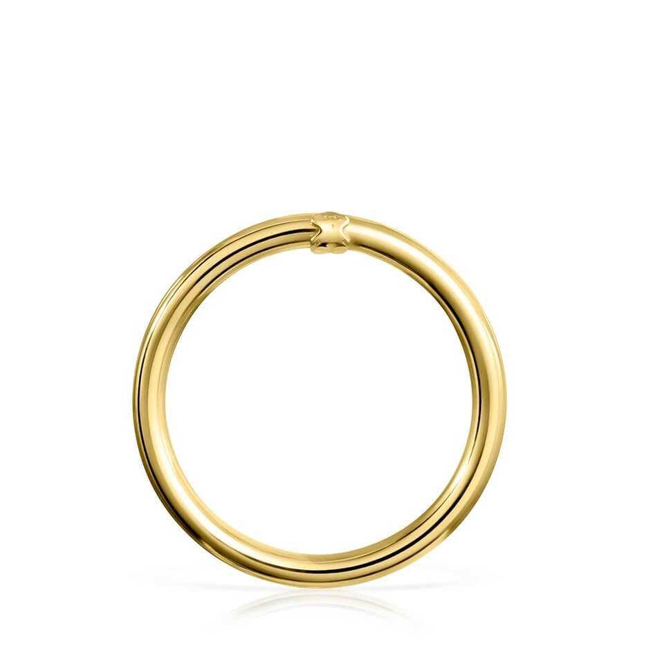 Кольцо-подвеска Tous Hold Large, золото
Кольцо-подвеска Tous Hold Large, золото