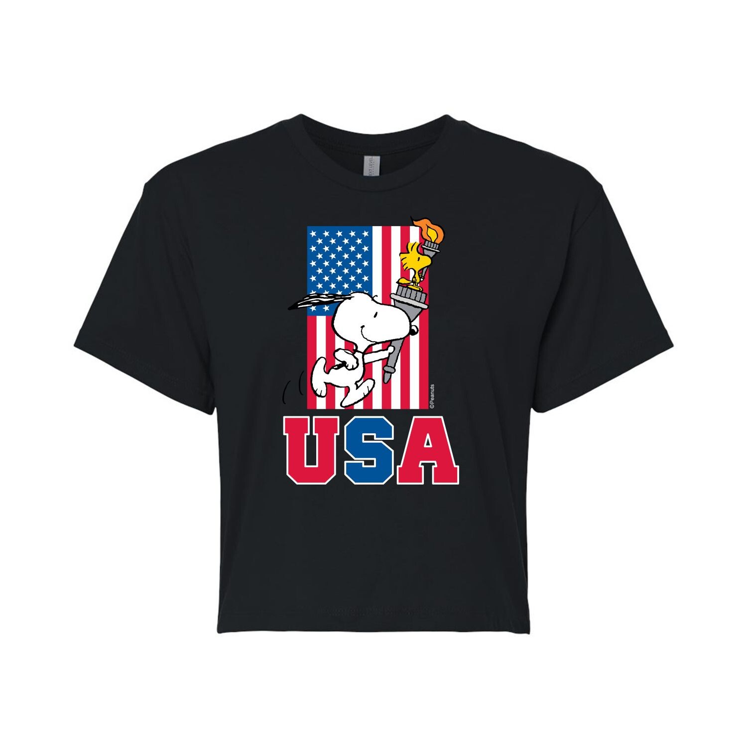 Укороченная футболка Juniors' Peanuts USA Torch Licensed Character, черный
Укороченная футболка Juniors' Peanuts USA Torch Licensed Character, черный