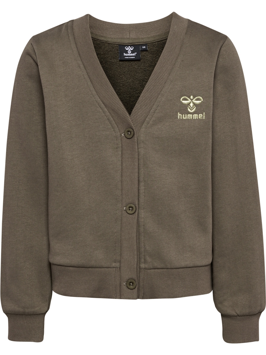 Толстовка с капюшоном на молнии Hummel Tone, коричневый
Толстовка с капюшоном на молнии Hummel Tone, коричневый