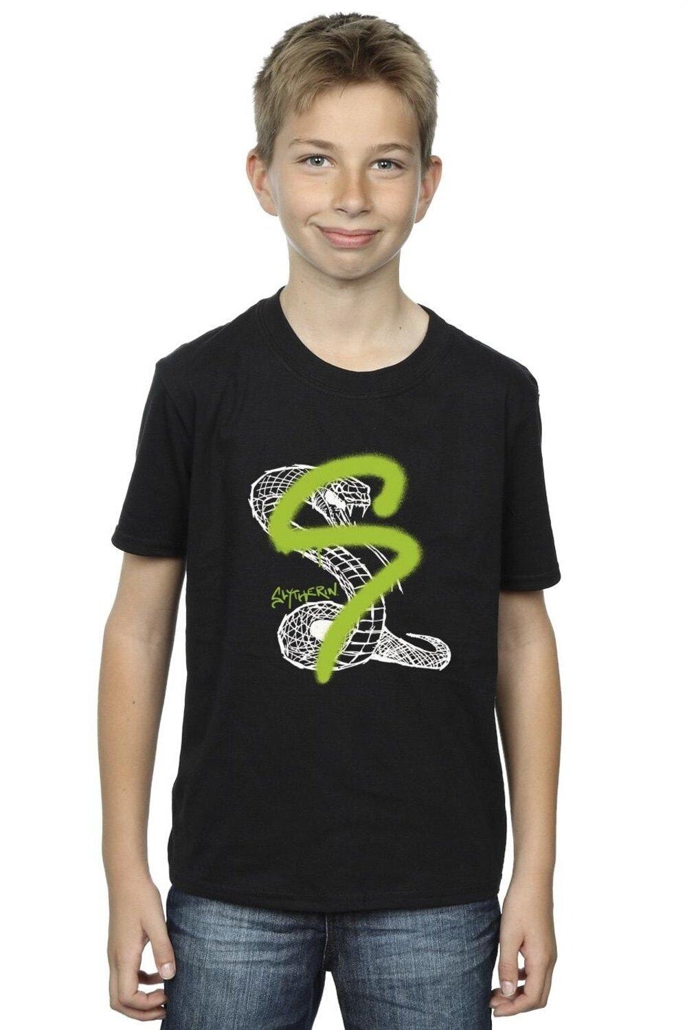 Футболка Слизерин с поп-спрей Harry Potter, черный
Футболка Слизерин с поп-спрей Harry Potter, черный