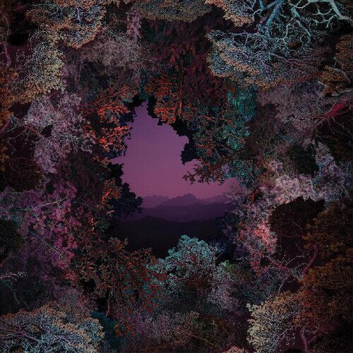 Виниловая пластинка George, Claire: The Land Beyond The Light
Виниловая пластинка George, Claire: The Land Beyond The Light