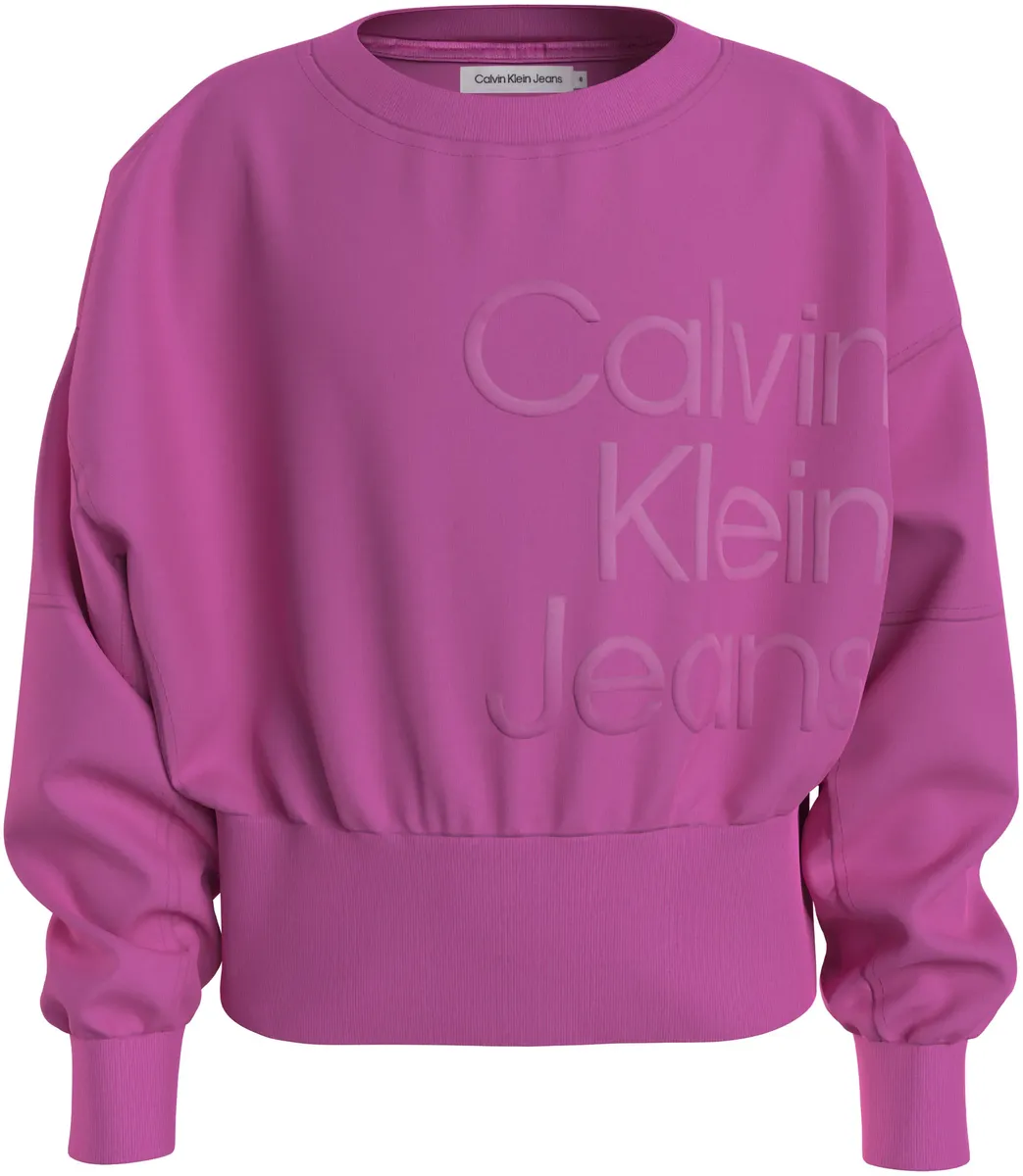 Толстовка Calvin Klein Jeans "PUFF HERO LOGO CN SWEATSHIRT", для детей до 16 лет, цвет Pink Amour
Толстовка Calvin Klein Jeans "PUFF HERO LOGO CN SWEATSHIRT", для детей до 16 лет, цвет Pink Amour